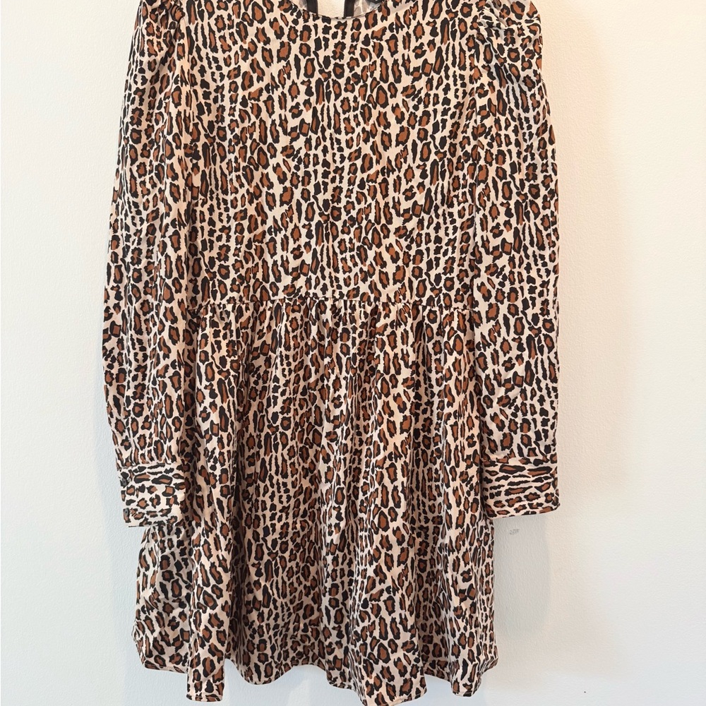 Zara Brown Leopard Print Dress